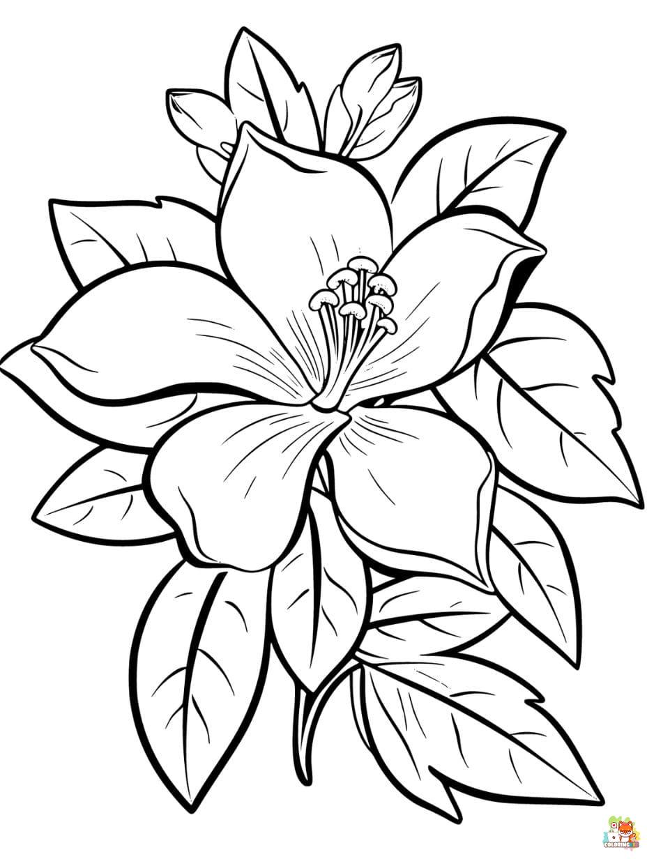 tropical flower coloring pages