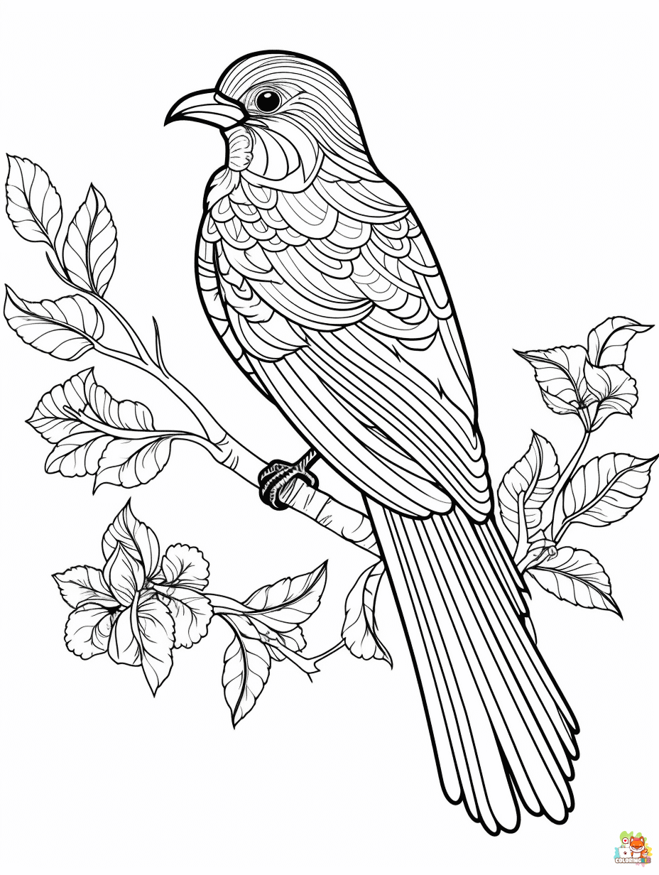 Bird coloring pages printable free