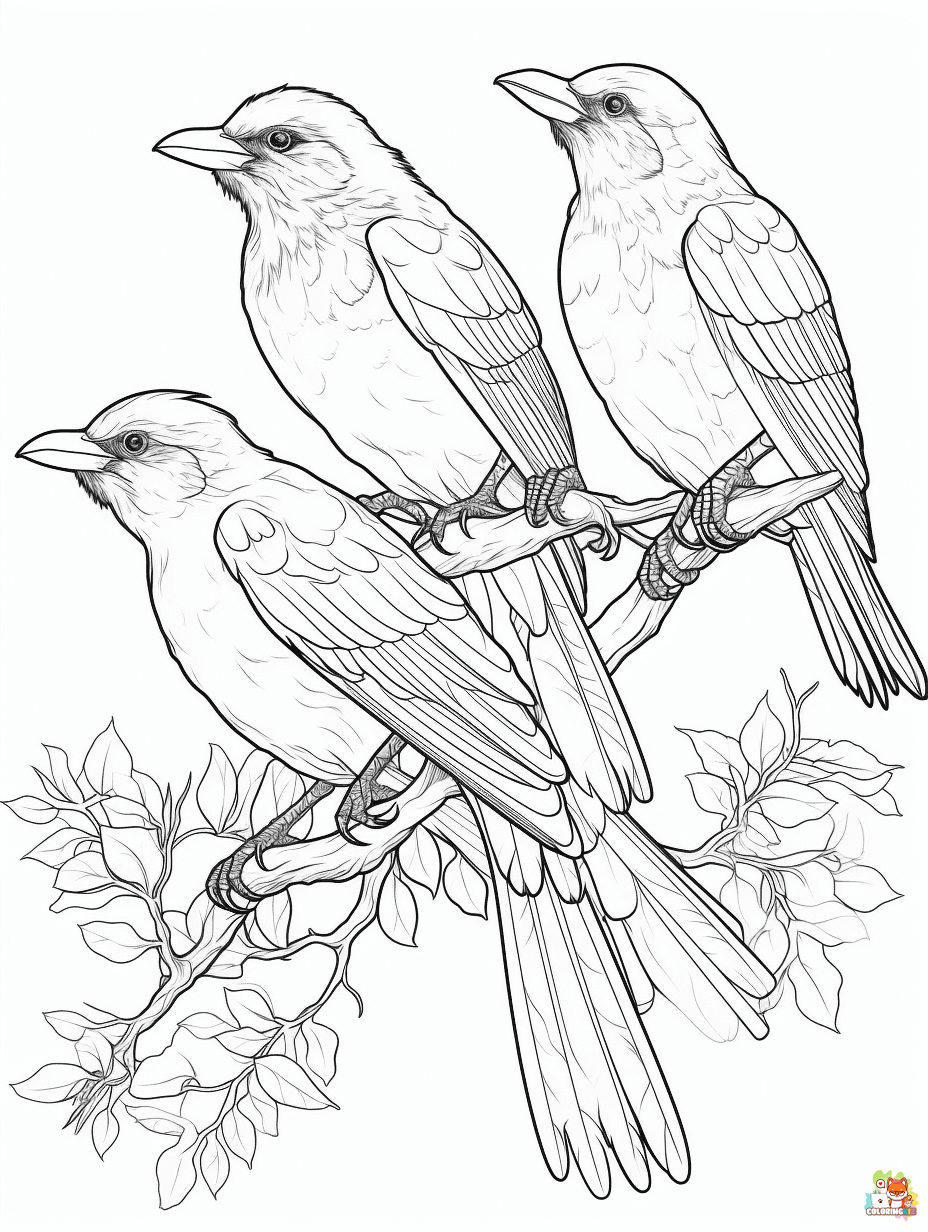 Bird coloring pages printable