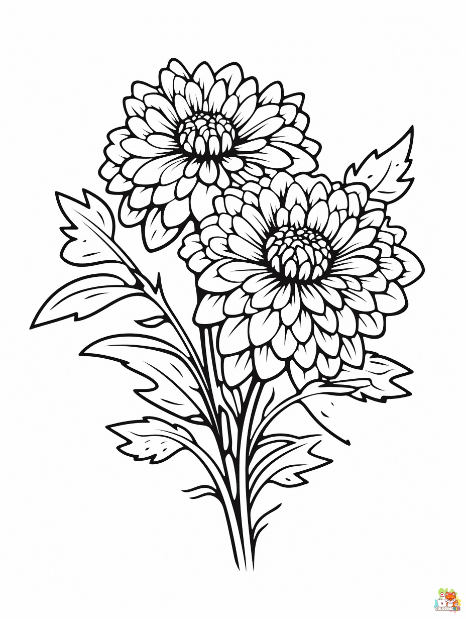 Chrysanthemums Coloring Pages to Print