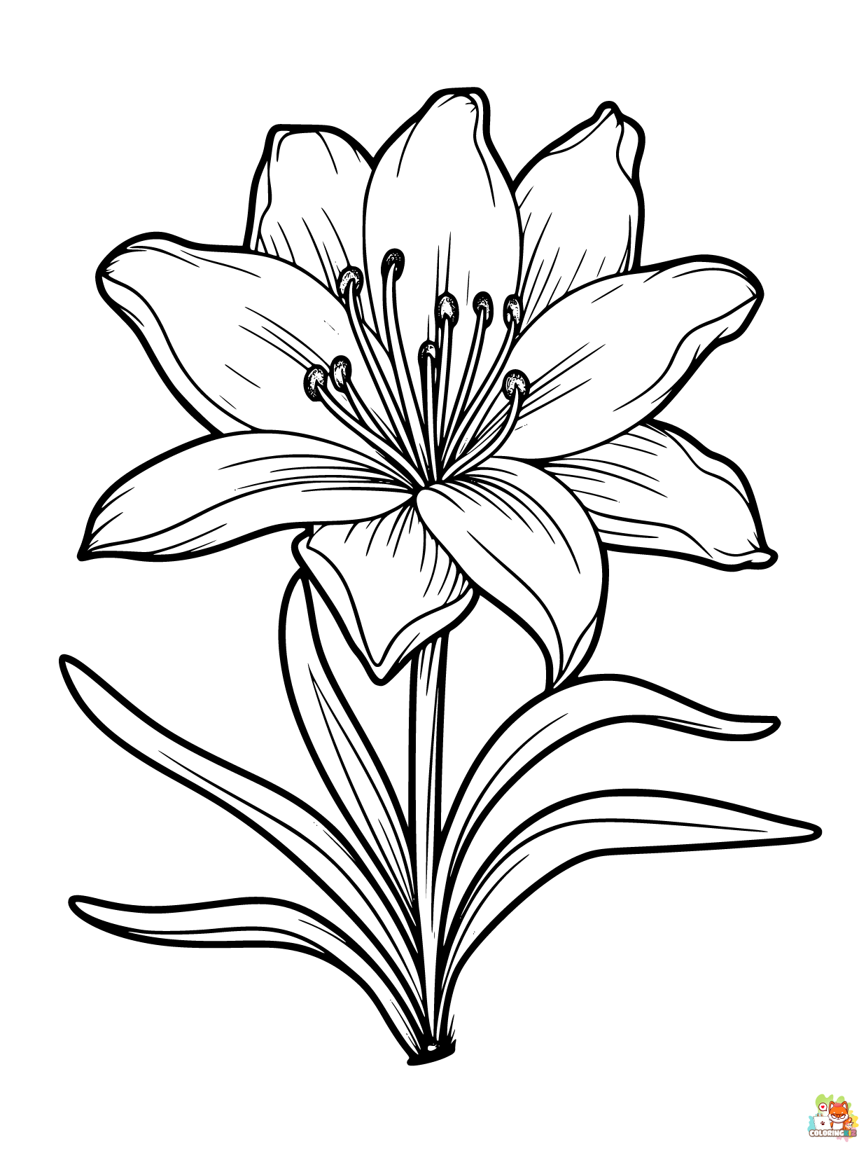 Desert Lily Coloring Pages Easy