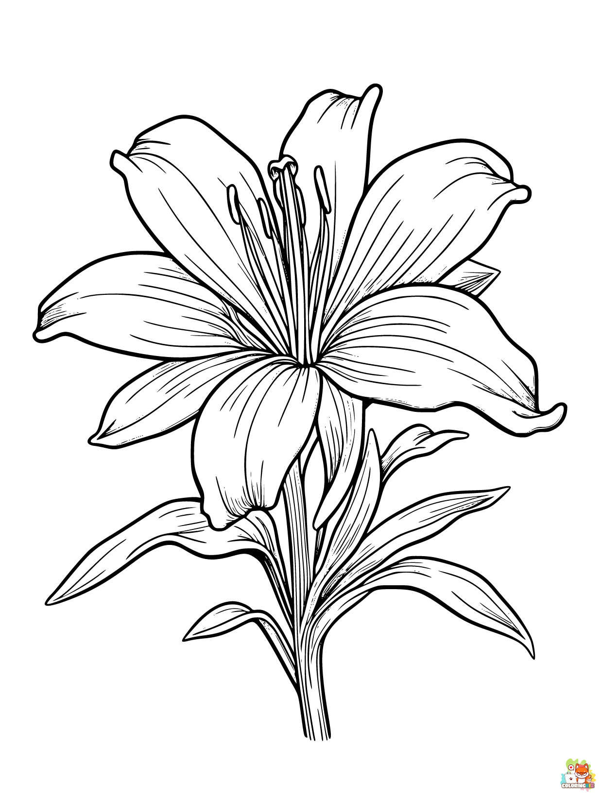 Desert Lily Coloring Pages Free 1