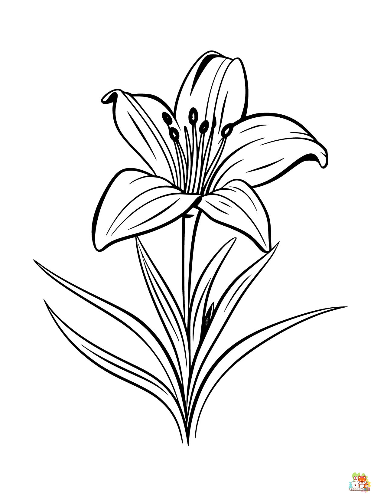 Desert Lily Coloring Pages for Kids