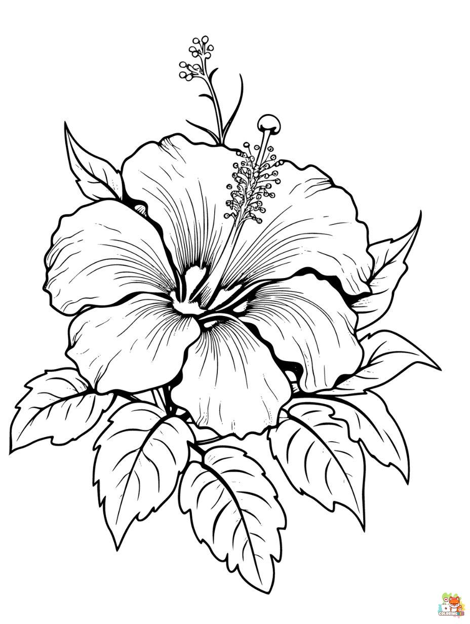 Easy Hibiscus Coloring Pages flower coloring pages 2