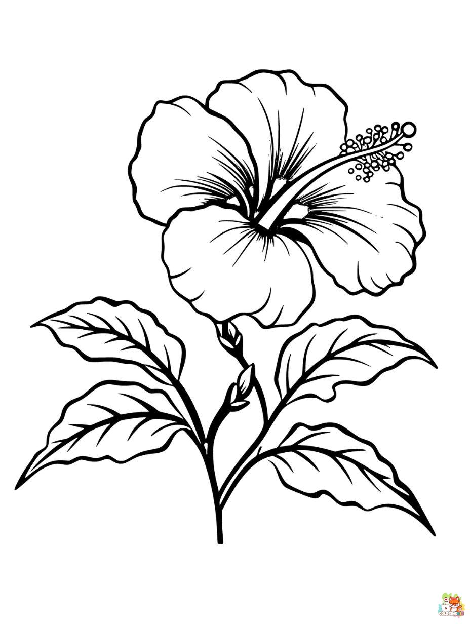 Easy Hibiscus Coloring Pages flower coloring pages