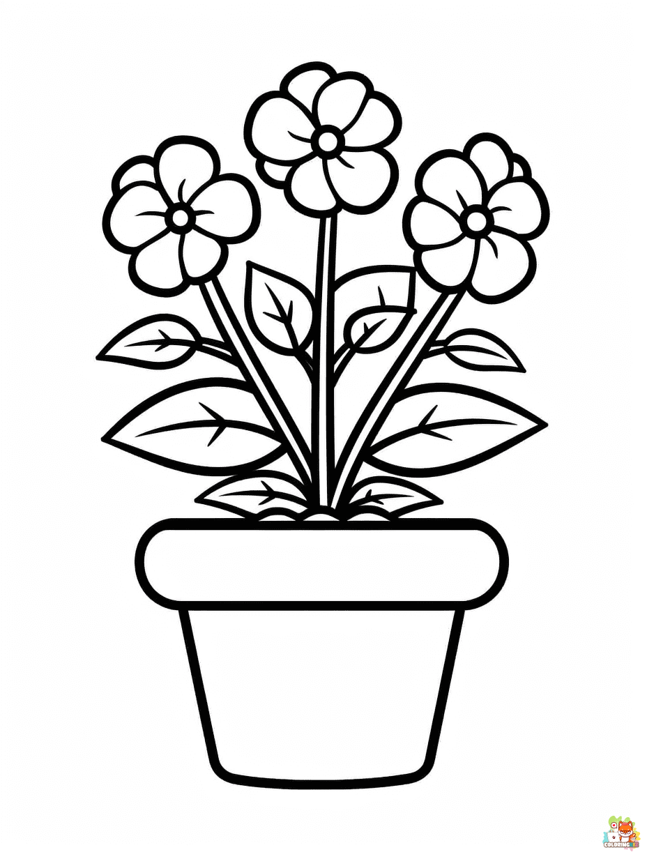 Easy Saxifrage Coloring Pages
