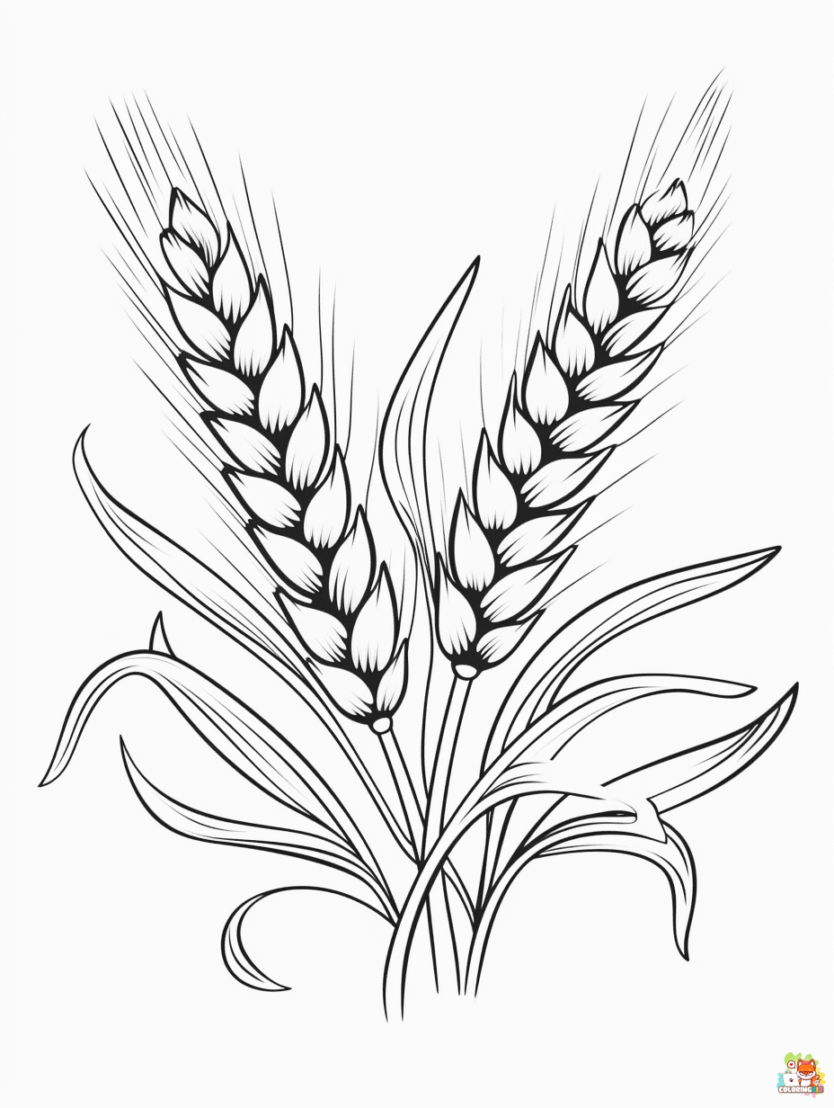 Easy Wheat Coloring Pages