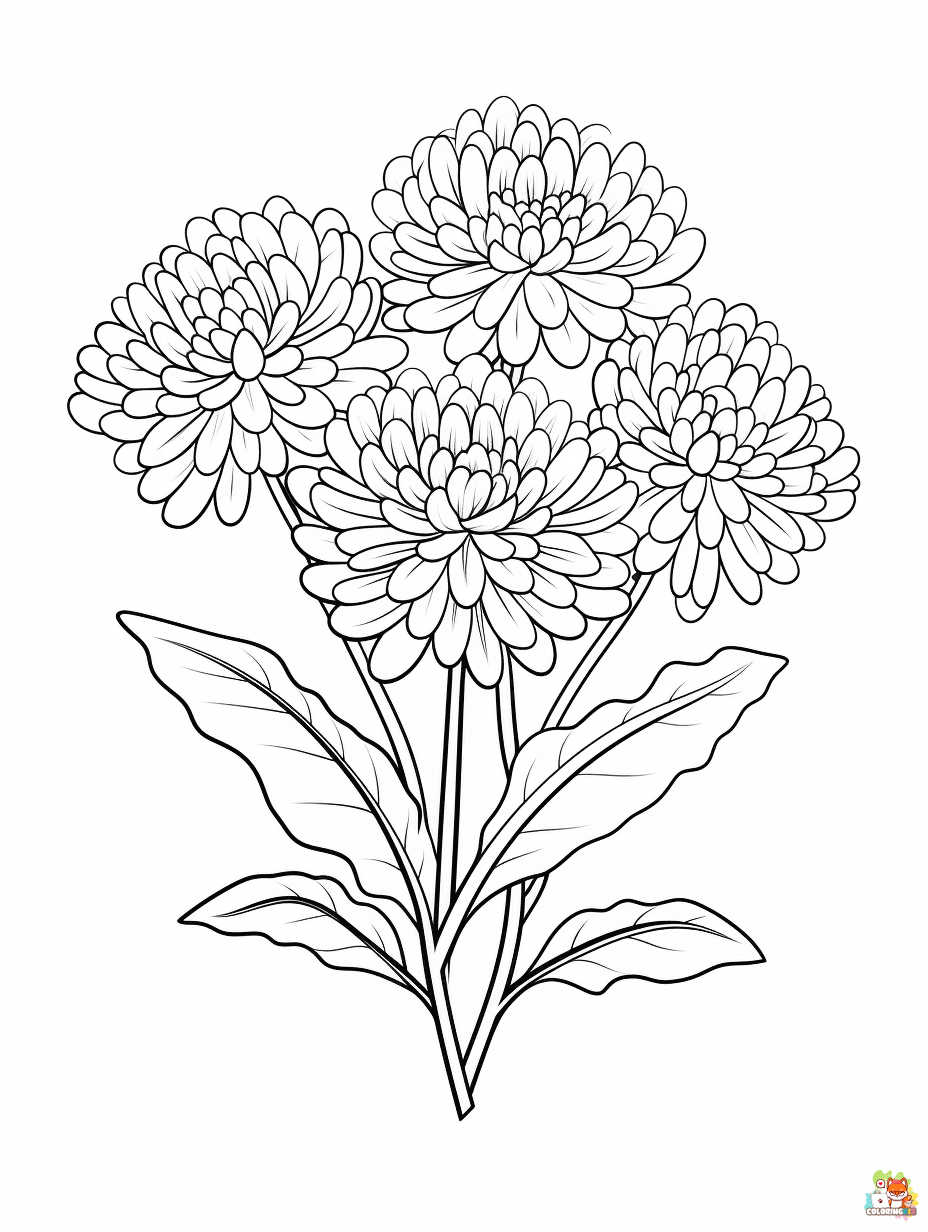 Free Chrysanthemums Coloring Pages