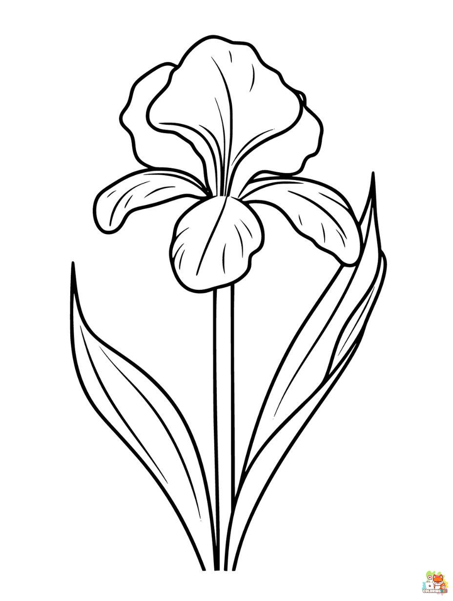 Free Iris Coloring Pages for Kids