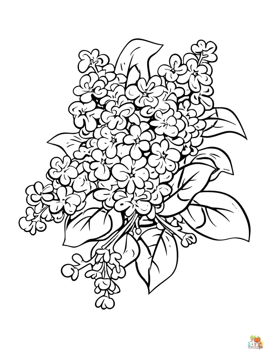 Free Lilac Coloring Pages