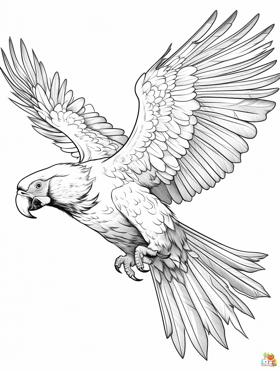 Free Parrot coloring pages for kids 1