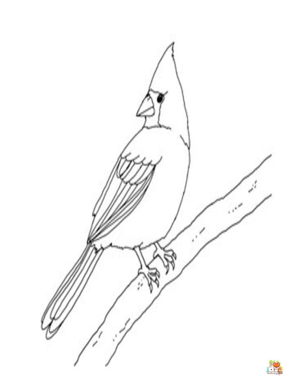 Free cardinal coloring pages for kids