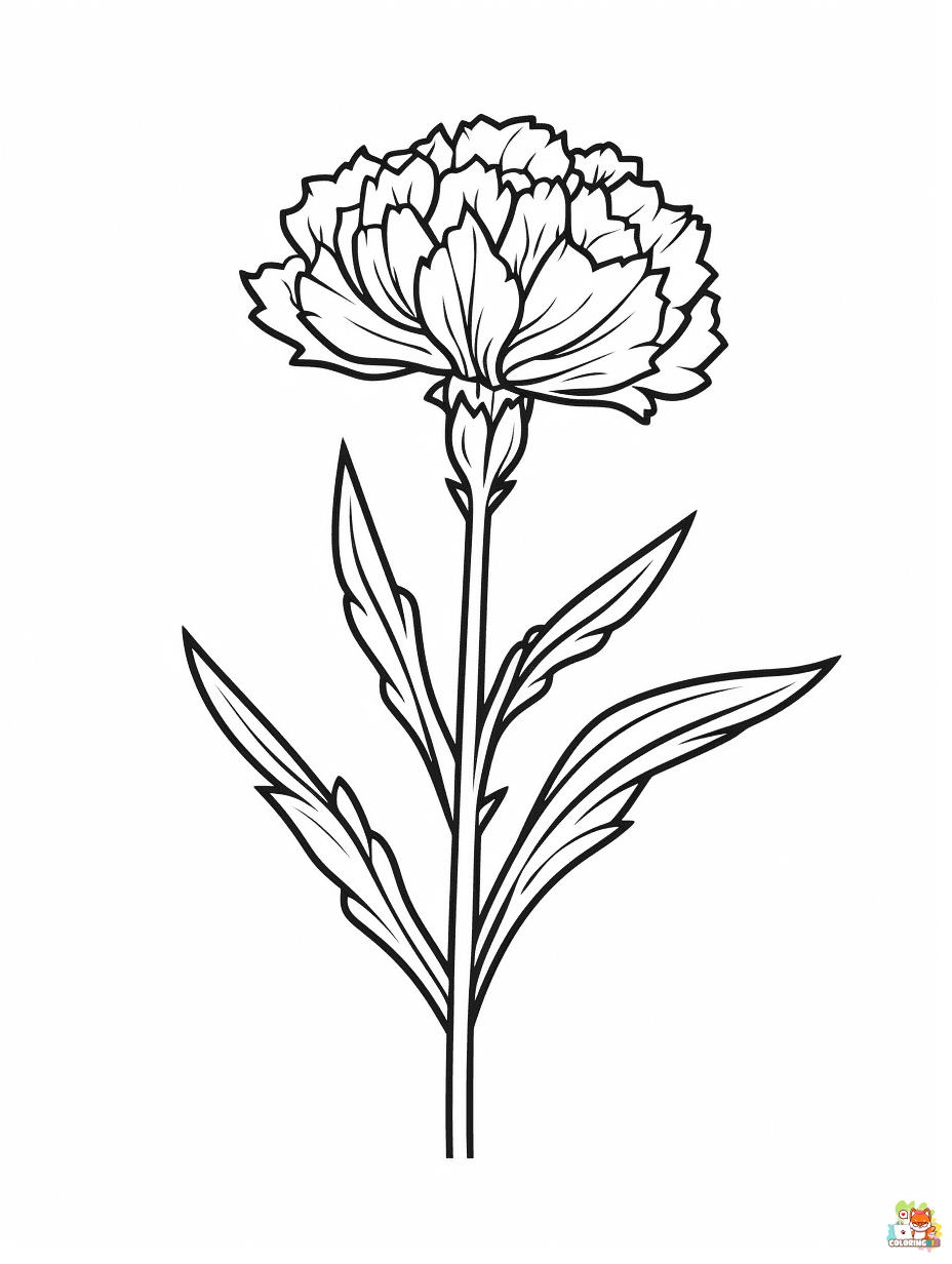Free carnation coloring pages for kids