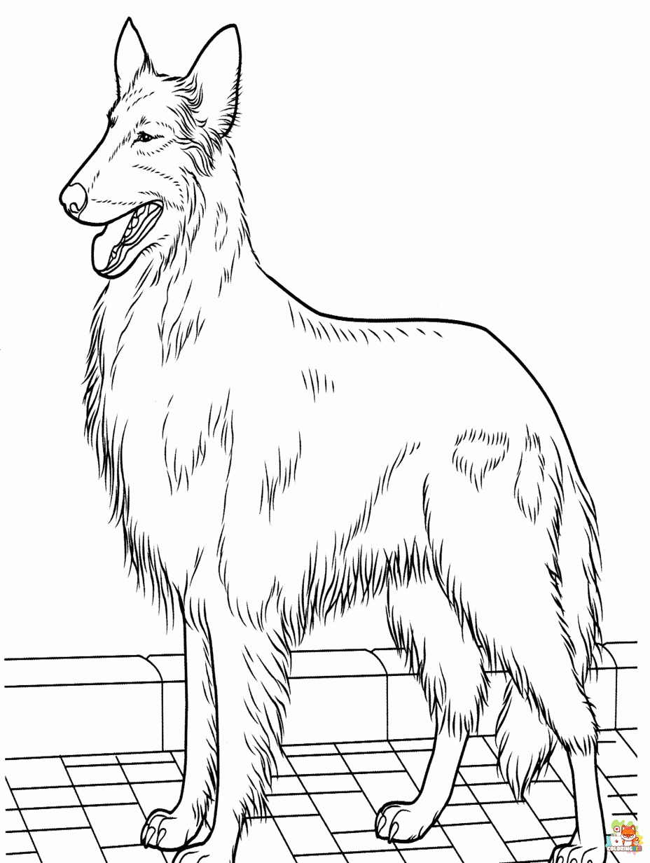 Free collie coloring pages for kids