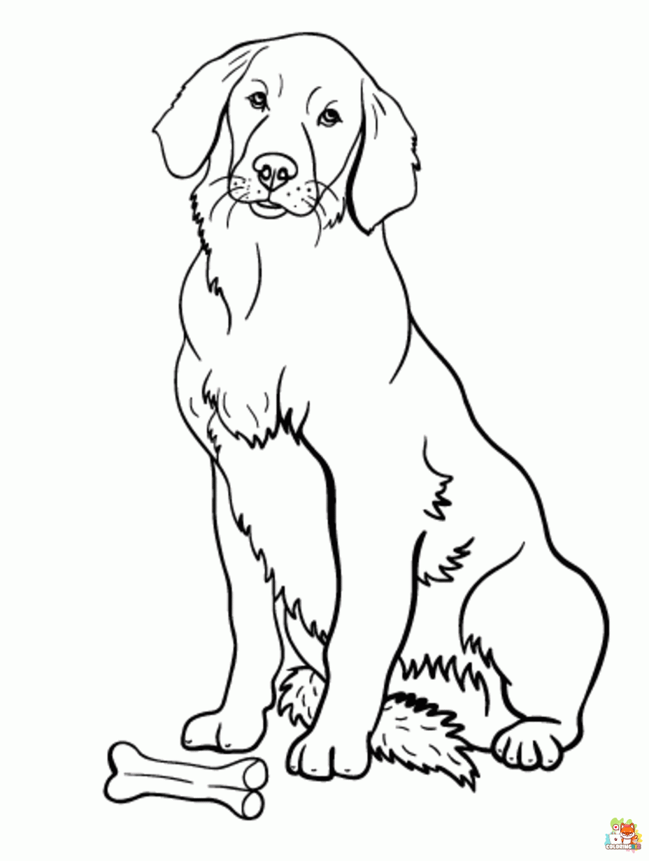 Free golden retriever coloring pages for kids