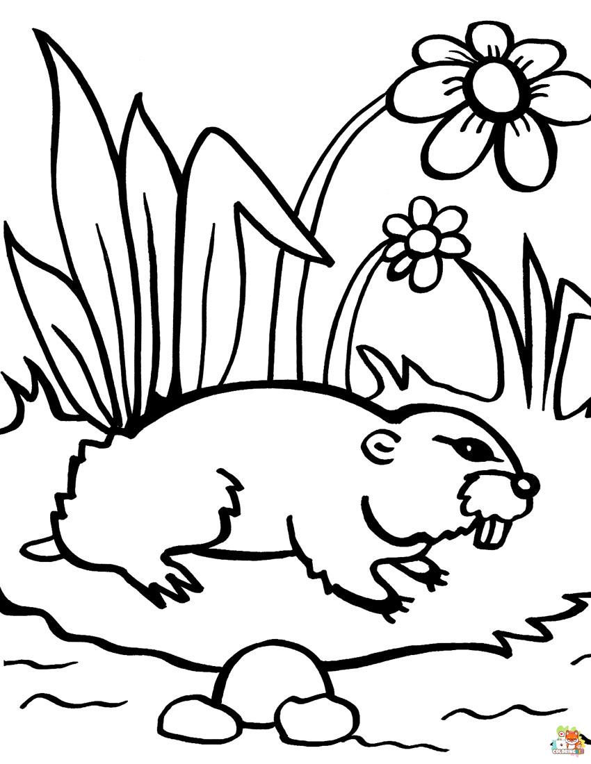 Free groundhog coloring pages for kids