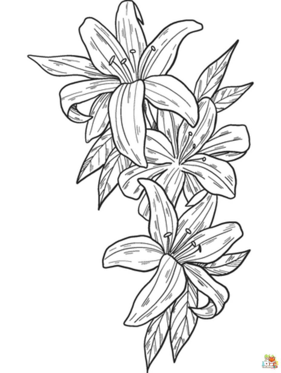Free lily coloring pages for kids