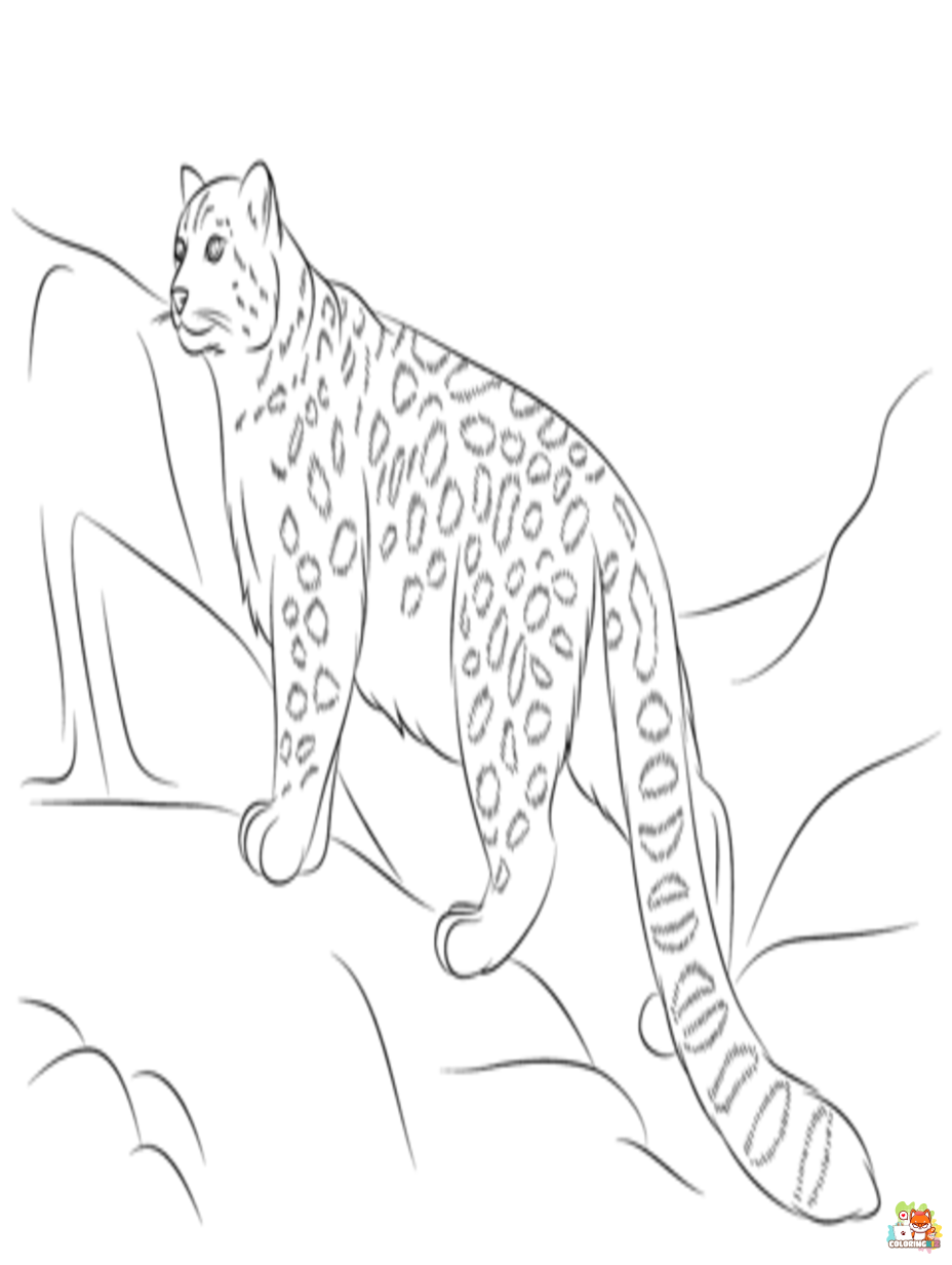 Free snow leopards coloring pages for kids