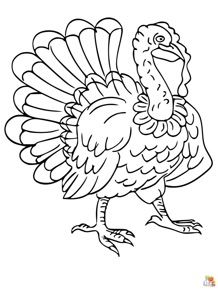 Free wild turkey coloring pages for kids