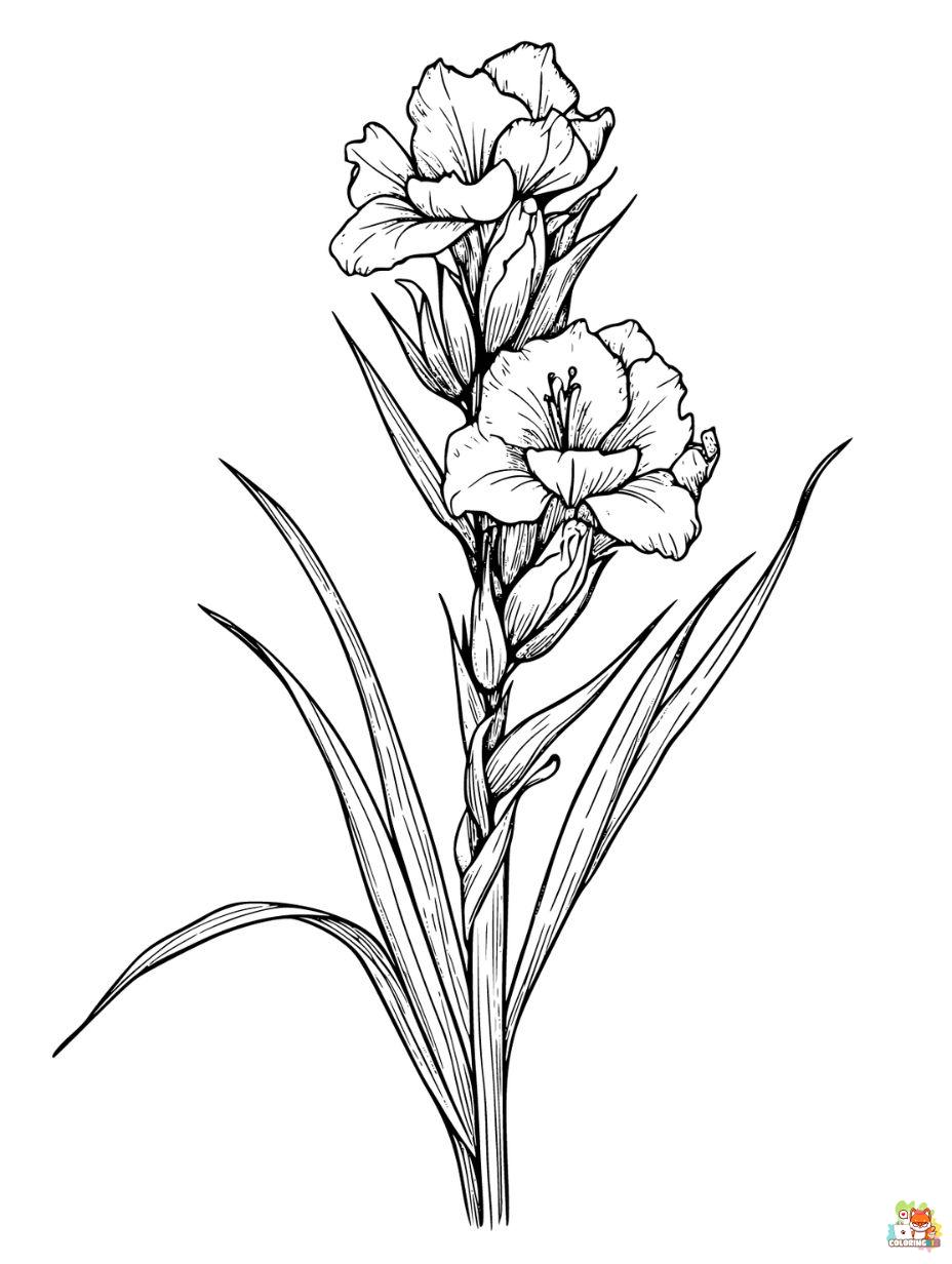 Gladiolus Coloring PagesColoring Pages for Kids Coloring Pages Free