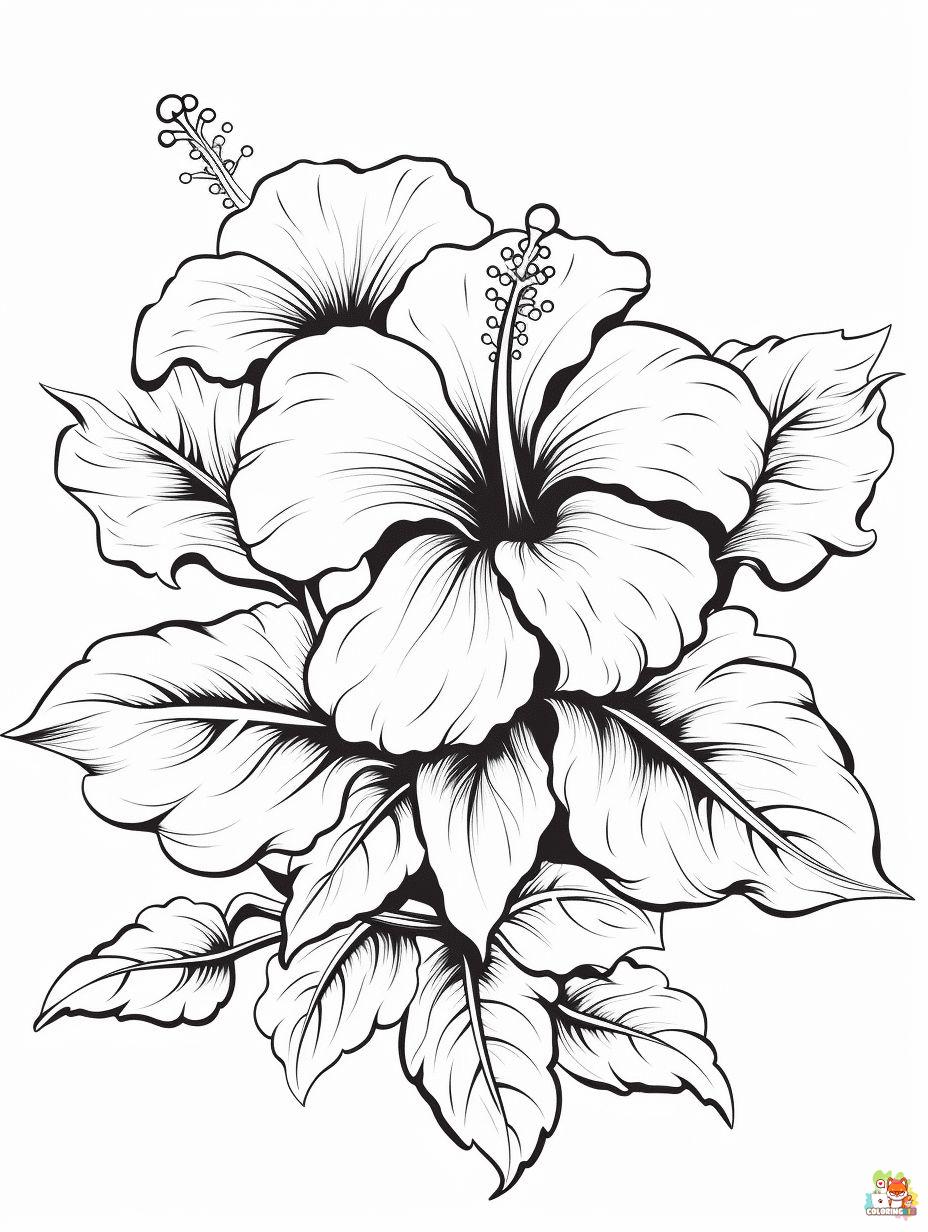 Hibiscus Coloring Pages Easy