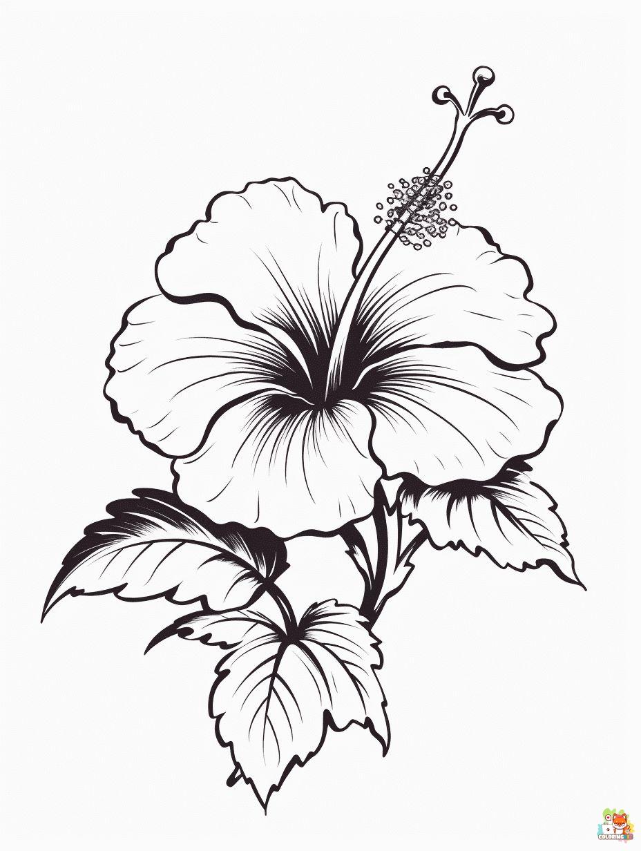 Hibiscus Coloring Pages Free
