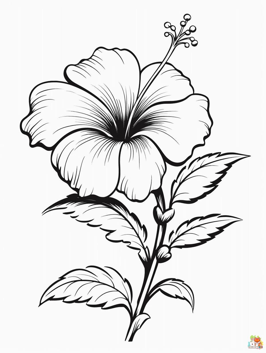 Hibiscus Coloring Pages Printable