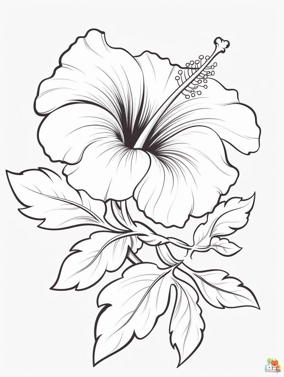 Hibiscus Coloring Pages for Kids
