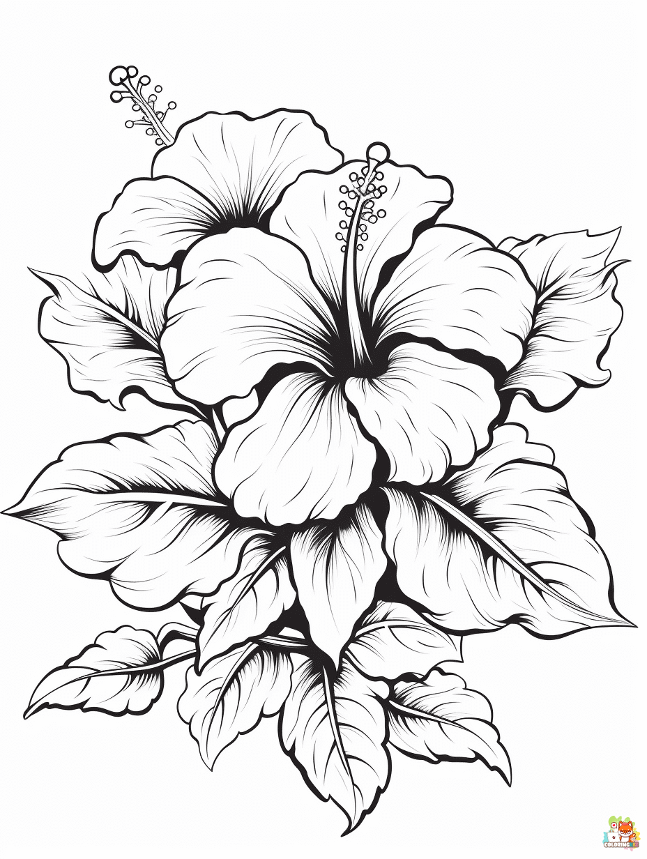 Hibiscus Coloring Pages printable 1