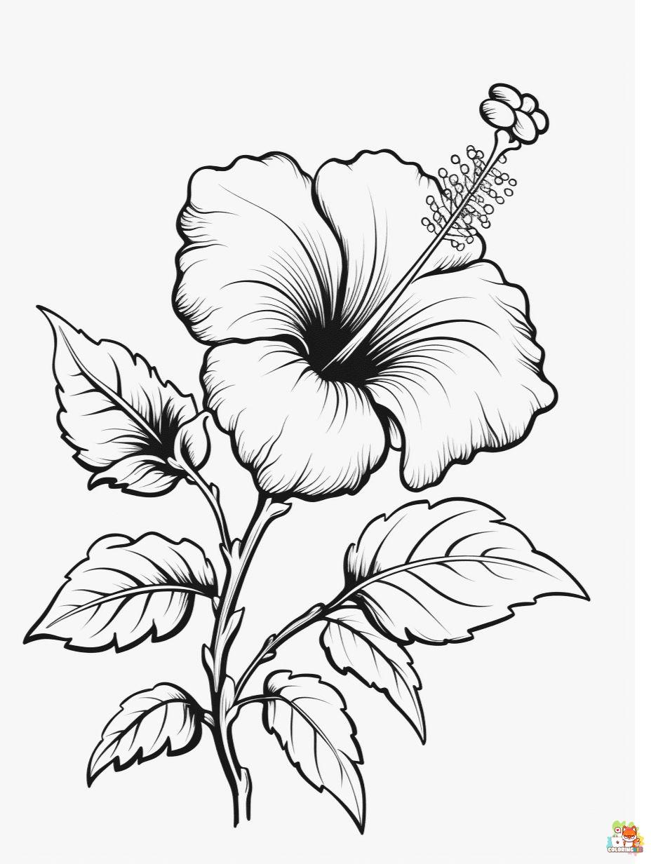 Hibiscus Coloring Pages to print