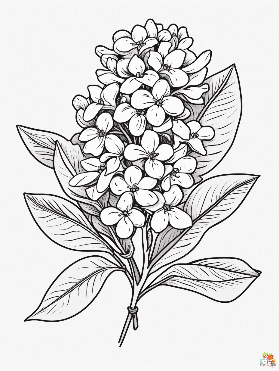 Lilac Coloring Pages to Print