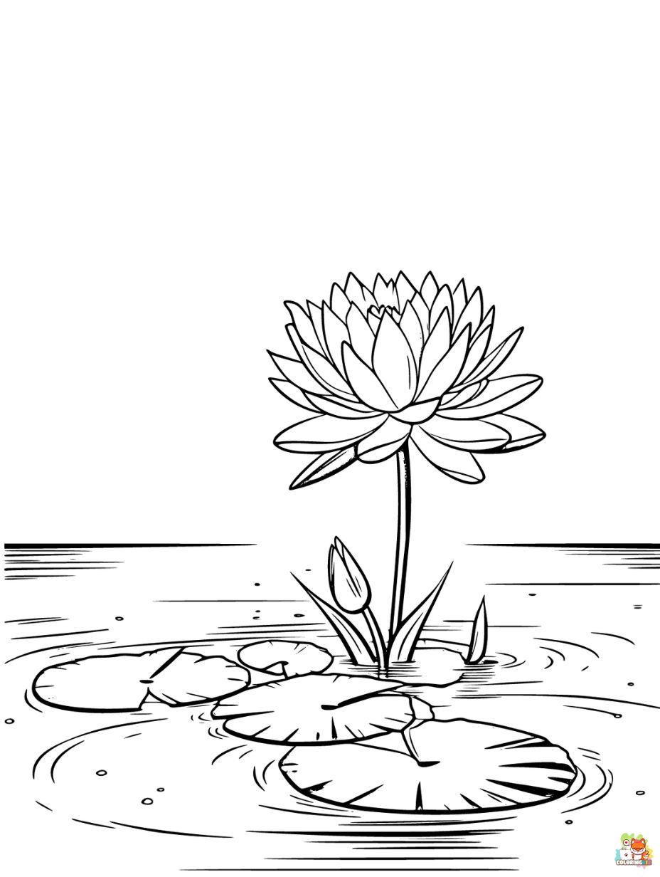 Lotus Coloring Pages Easy