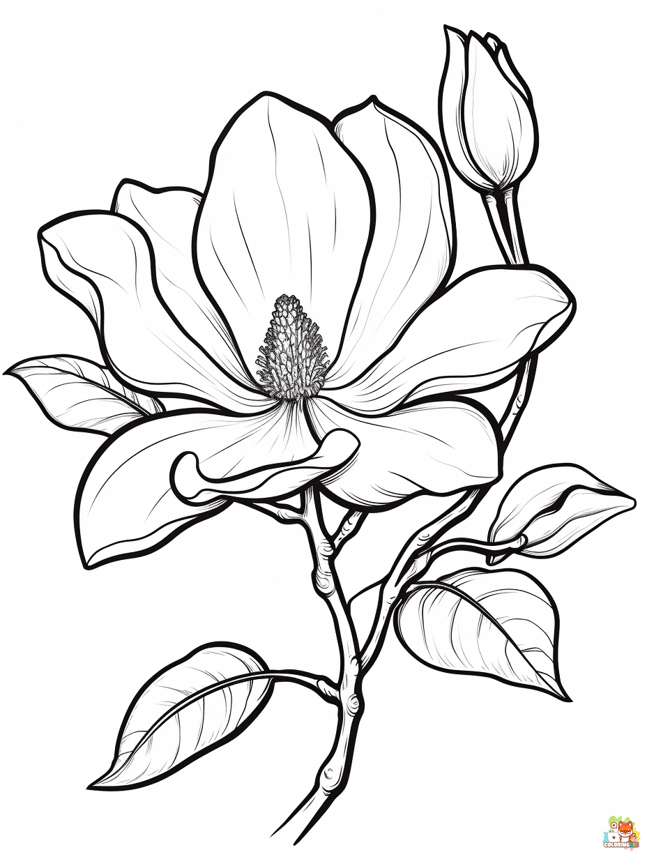 Magnolia Coloring Pages for kids