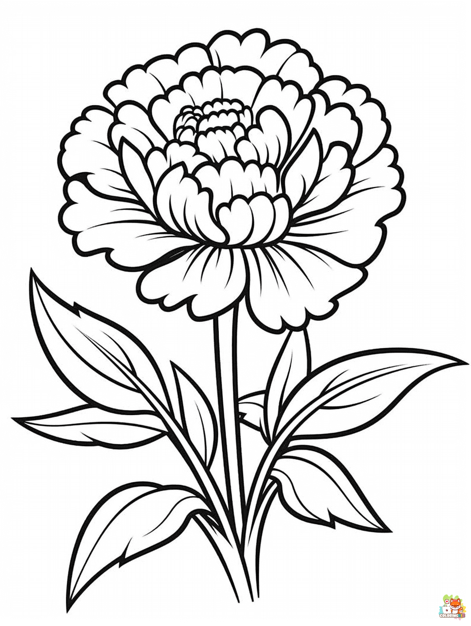 Marigold Coloring Pages for adults