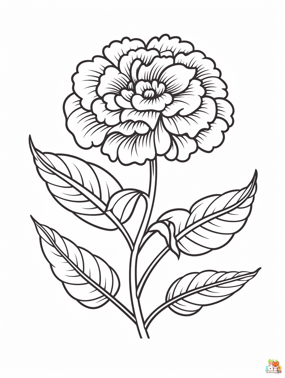 Marigold Coloring Pages for kids