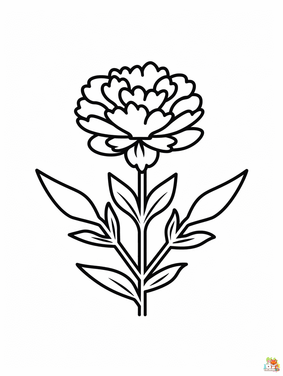 Marigold Coloring Pages to print