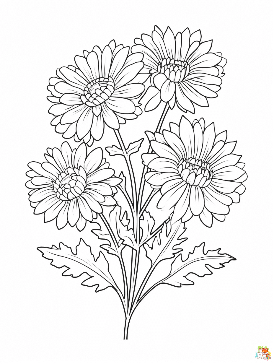 Printable Chrysanthemums Coloring Pages