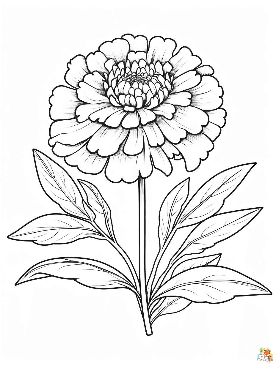 Printable Marigold Coloring Pages