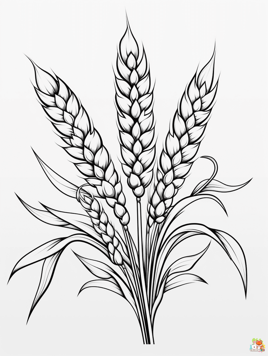 Printable Wheat Coloring Pages