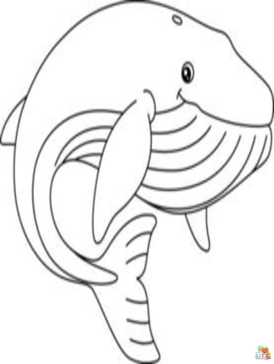 Printable blue whale coloring sheets