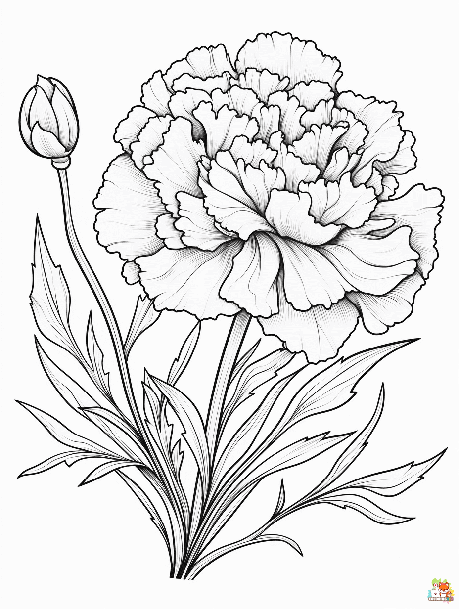 Printable carnation coloring sheets