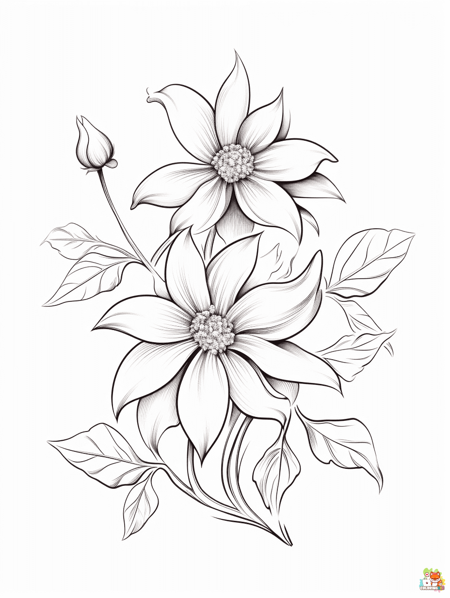 Printable clematis coloring sheets