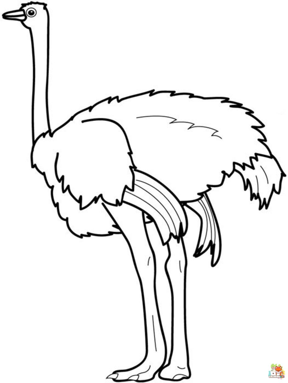 Printable ostrich coloring sheets
