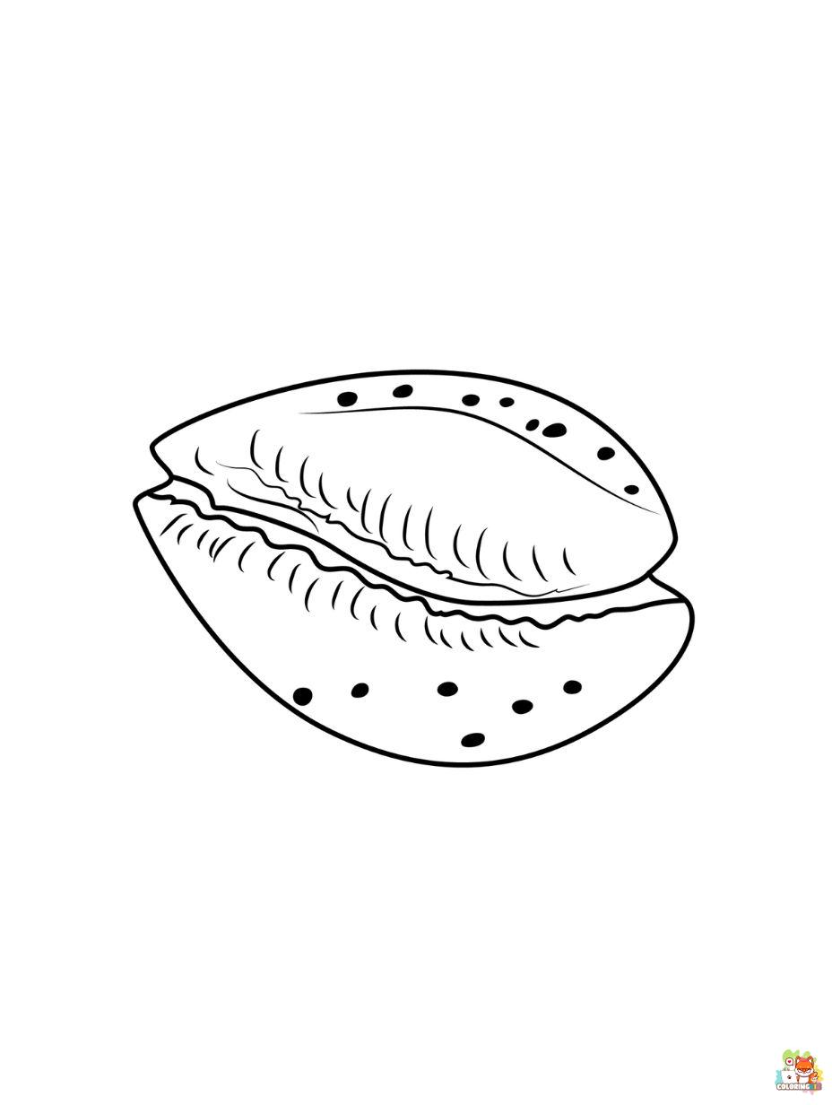Seashell coloring pages 2