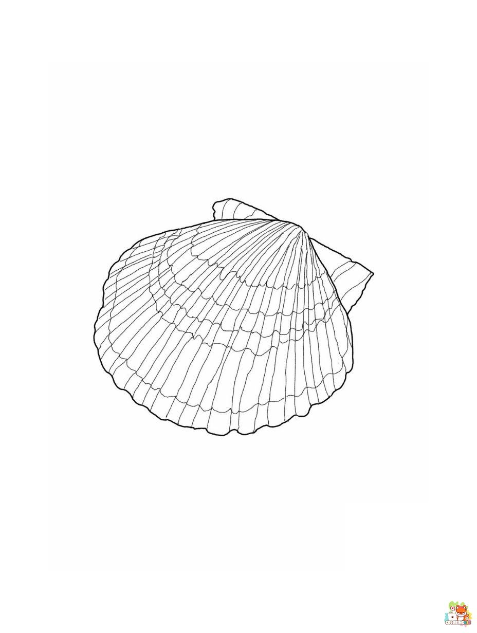 Seashell coloring pages 4