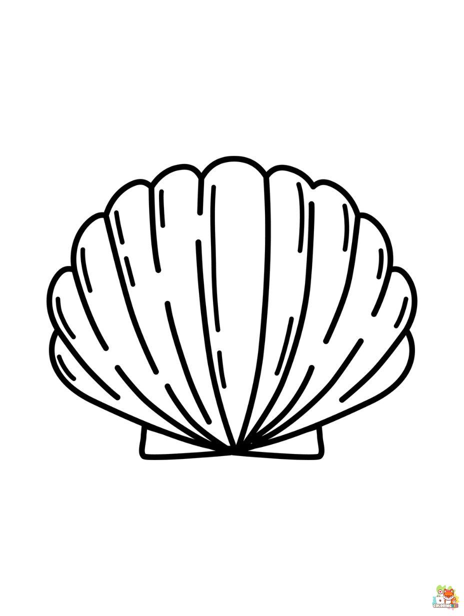 Seashell coloring pages free