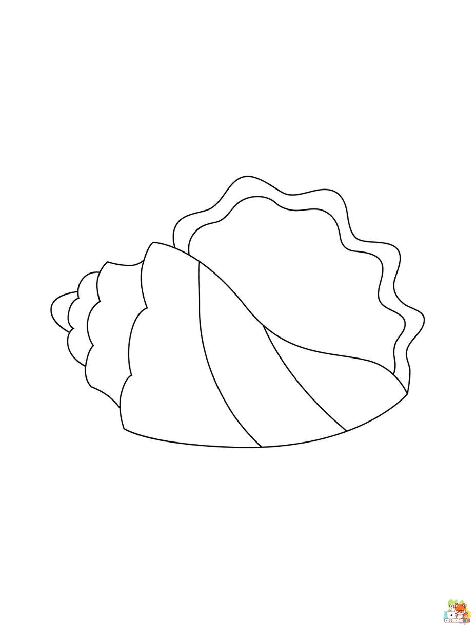 Seashell coloring pages printable 2