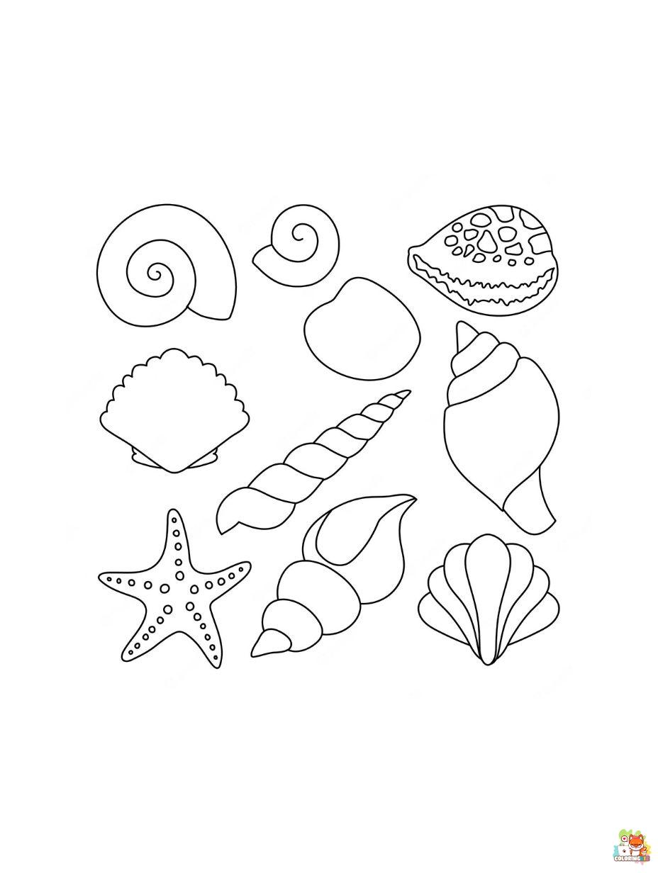 Seashell coloring pages printable free