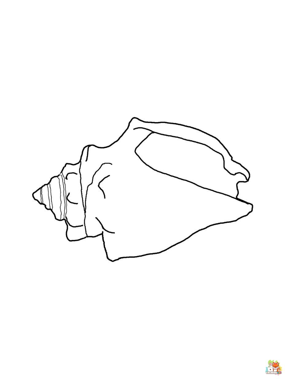 Seashell coloring pages to print