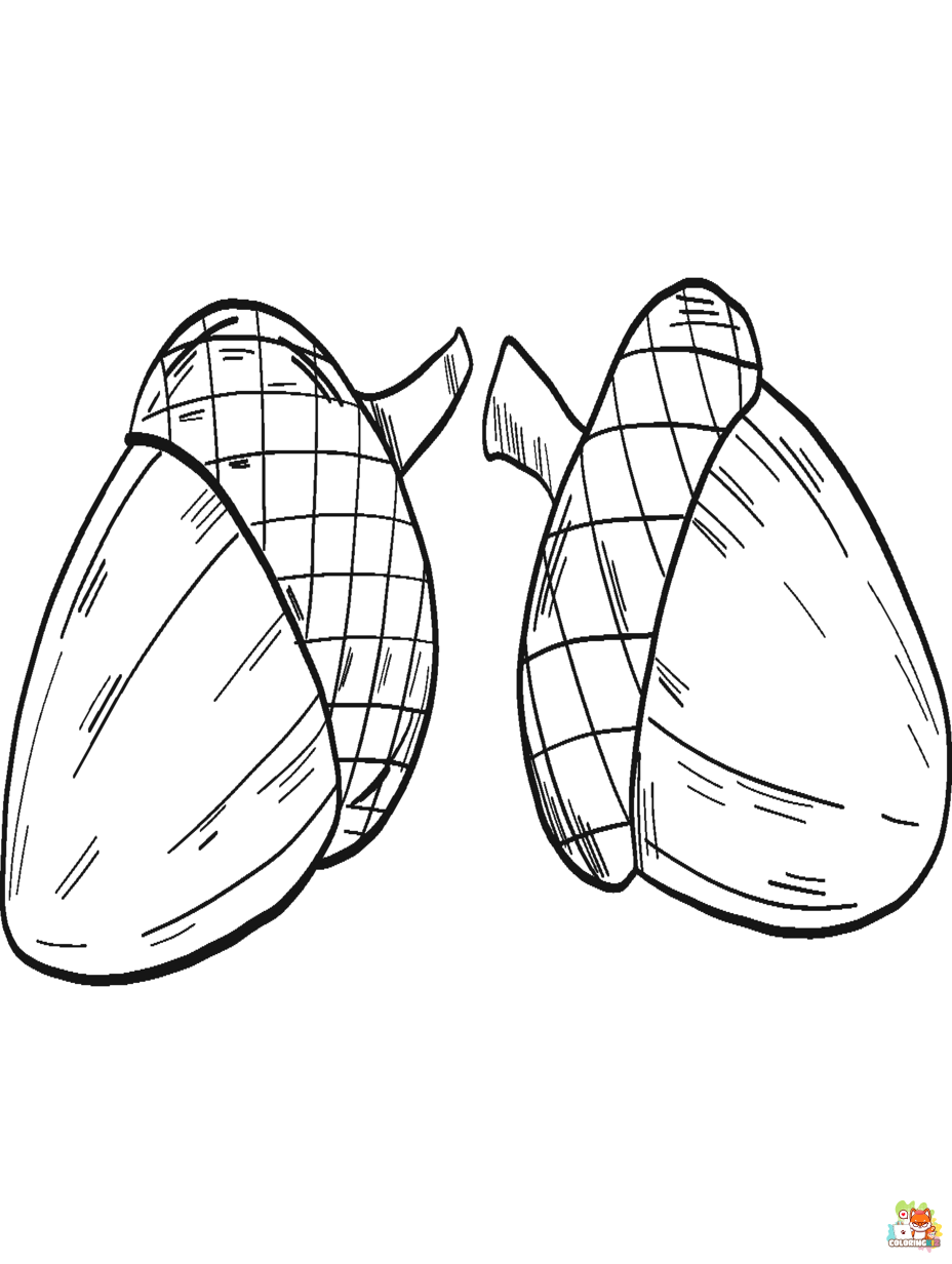 acorn coloring pages free